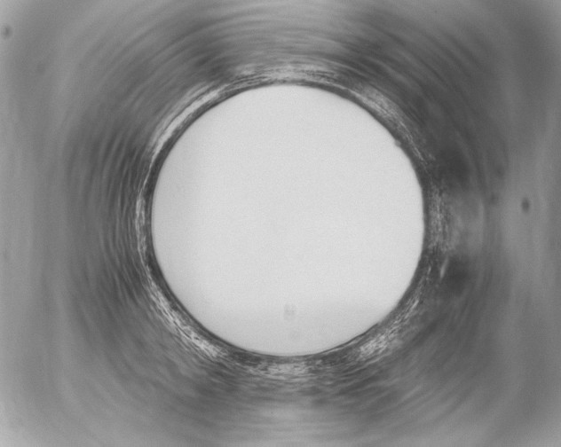 X0000052610798200507292147