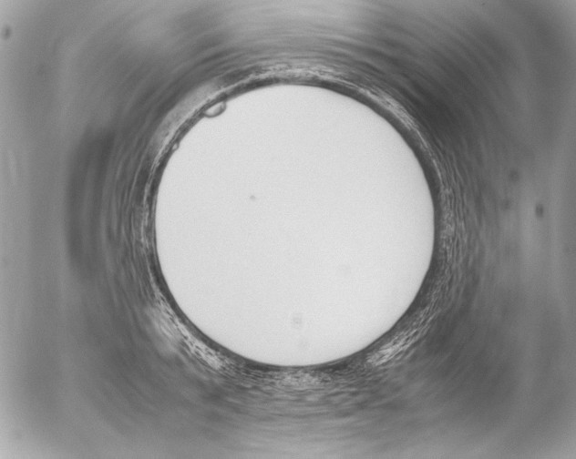 X0000052610799200507292147