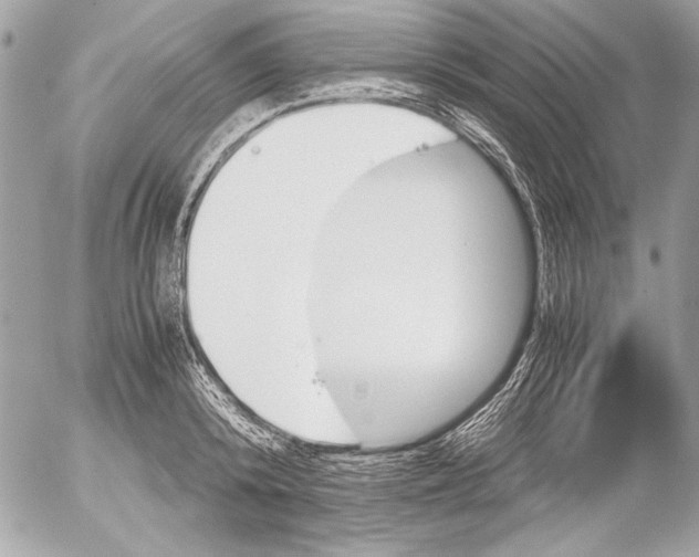 X0000052610800200507292147