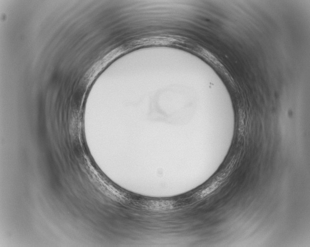 X0000052610802200507292147