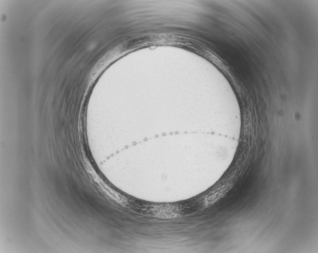 X0000052610803200507292147