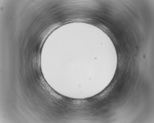 X0000052610804200507292147