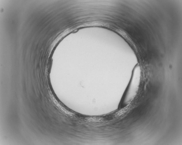 X0000052610805200507292147