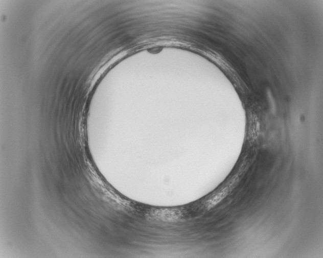 X0000052610806200507292147