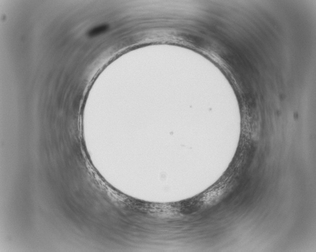 X0000052610807200507292147