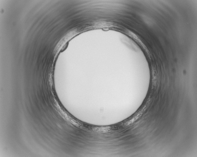 X0000052610810200507292147