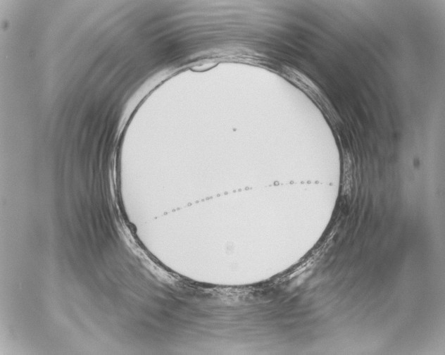 X0000052610812200507292147