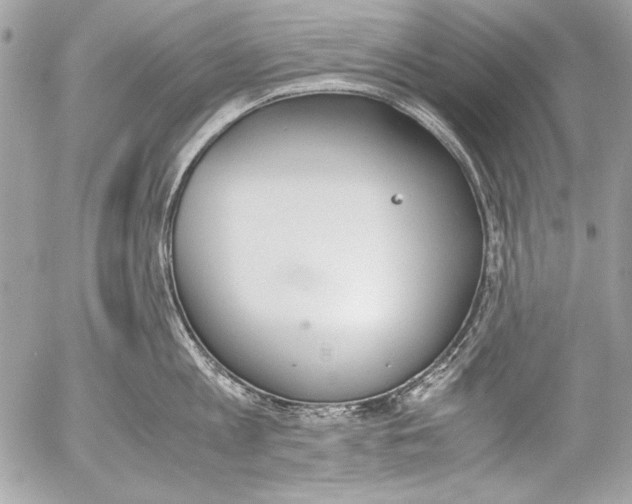 X0000052610813200507292147