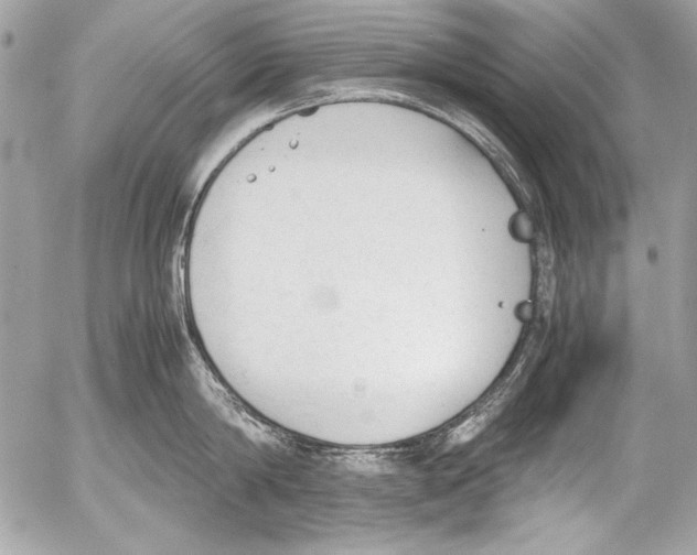 X0000052610814200507292147