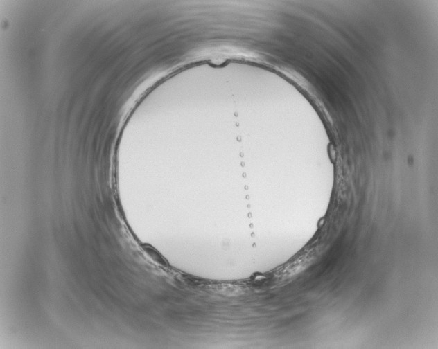 X0000052610815200507292147