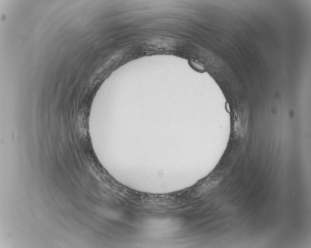 X0000052610819200507292146