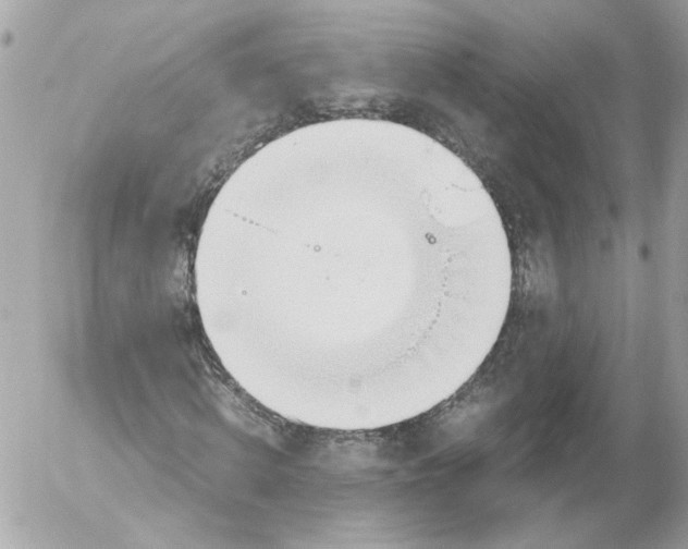 X0000052610820200507292146