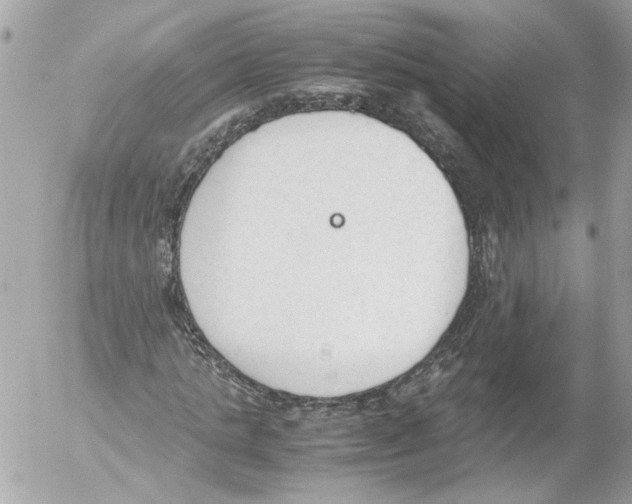 X0000052610821200507292146