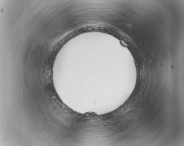 X0000052610822200507292146