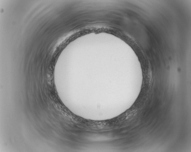 X0000052610823200507292146