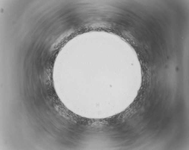 X0000052610824200507292146