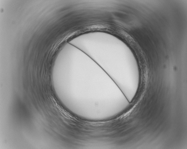 X0000052610825200507292146