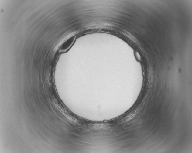 X0000052610826200507292146