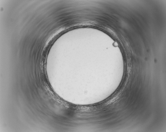 X0000052610827200507292146