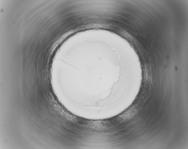 X0000052610828200507292146