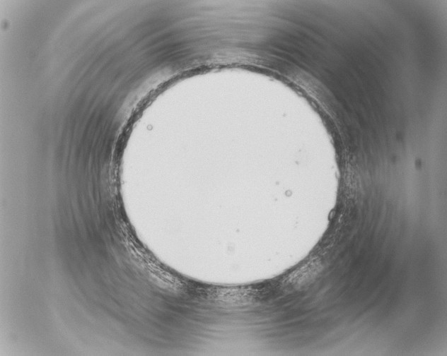 X0000052610832200507292146