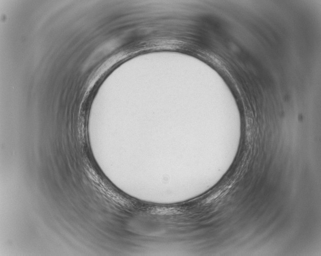 X0000052610835200507292146