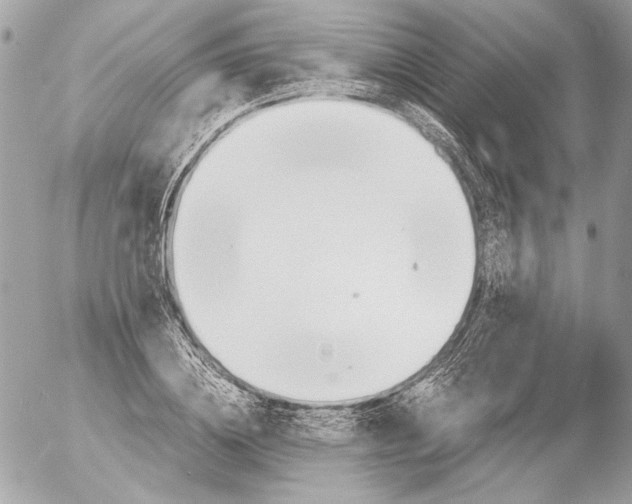 X0000052610836200507292146