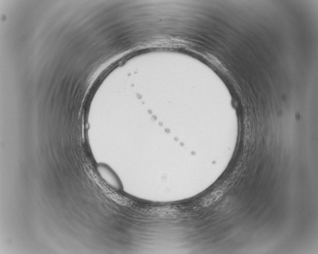 X0000052610838200507292147