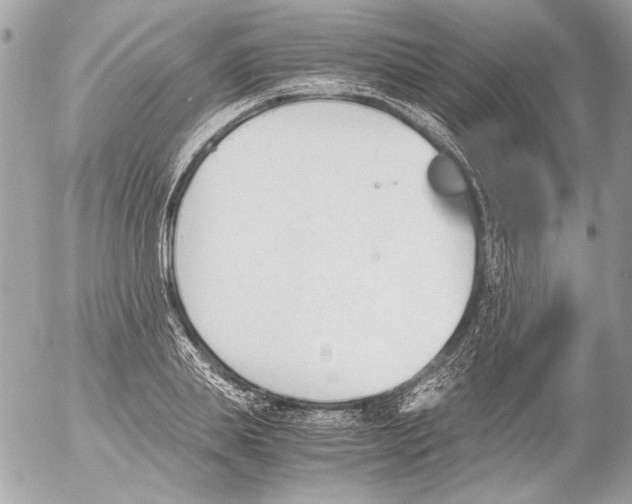 X0000052610839200507292147