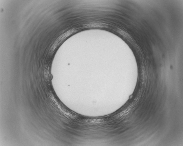 X0000052610841200507292147