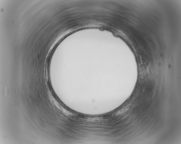 X0000052610843200507292147