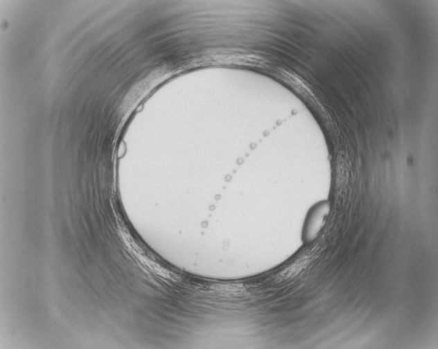 X0000052610844200507292147