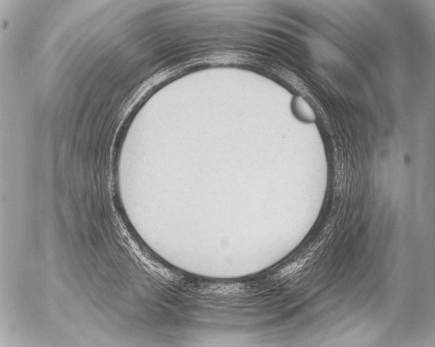 X0000052610845200507292147