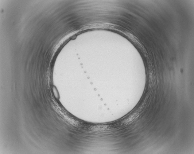 X0000052610846200507292147