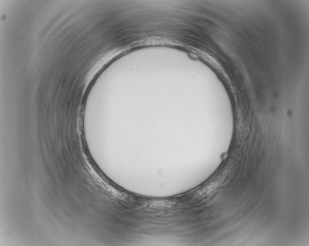 X0000052610847200507292147