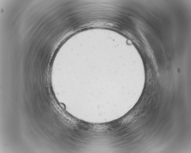 X0000052610848200507292147