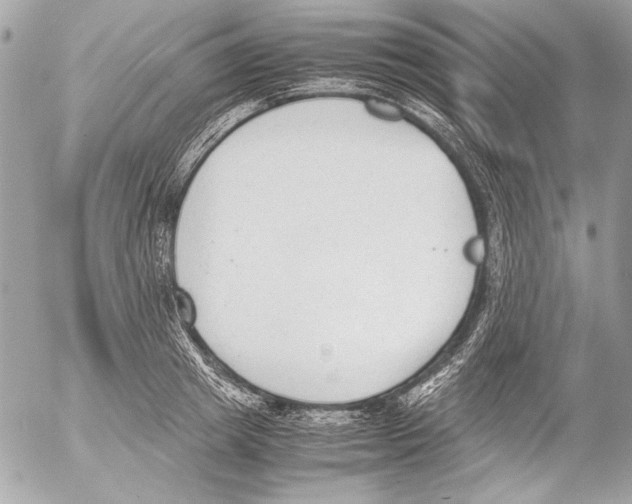 X0000052610849200507292147