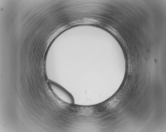 X0000052610850200507292147