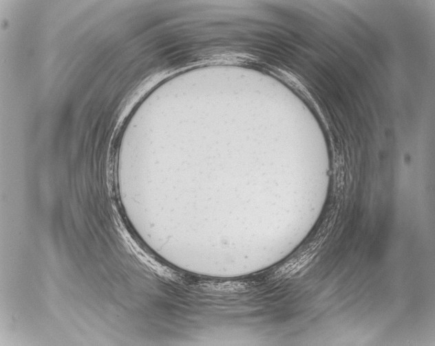 X0000052610851200507292147