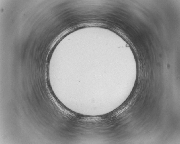 X0000052610853200507292147