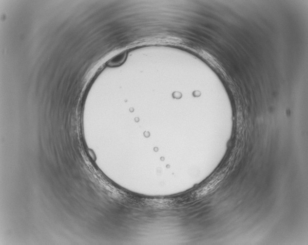 X0000052610854200507292147