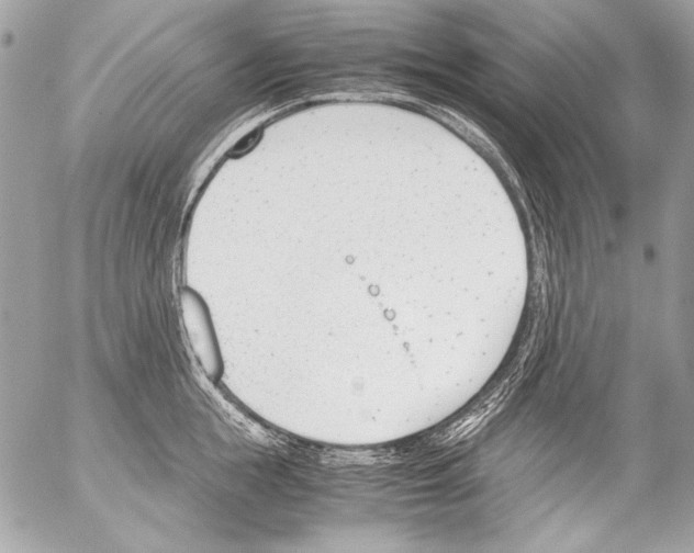 X0000052610855200507292147