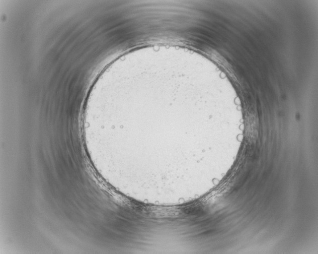 X0000052610856200507292147