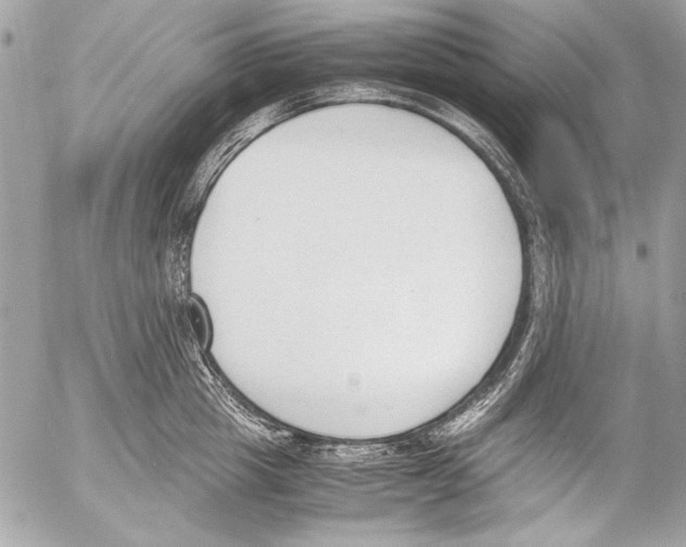 X0000052610857200507292147