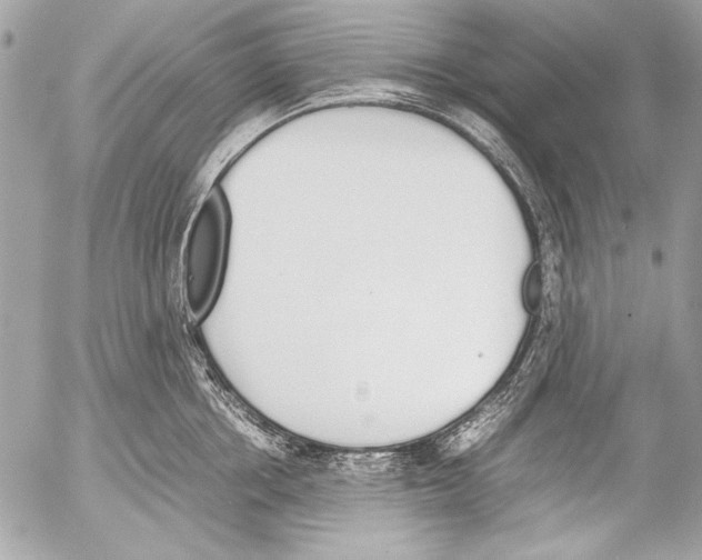 X0000052610858200507292147