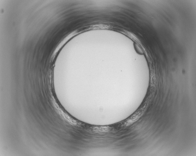 X0000052610859200507292147