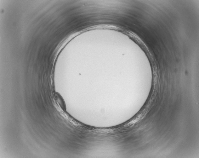 X0000052610860200507292147