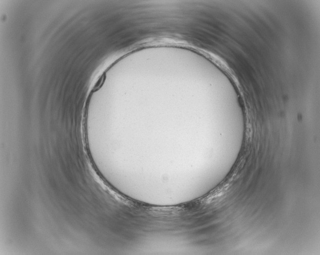 X0000052610863200507292147