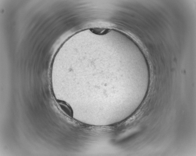 X0000052610864200507292147