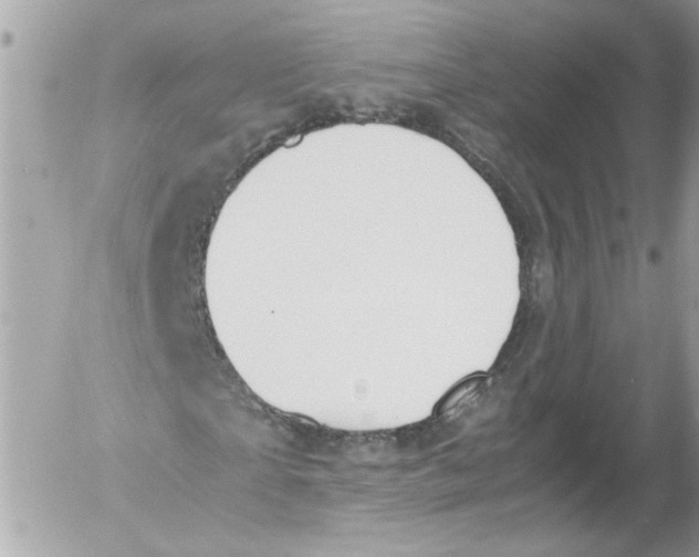 X0000052610865200507292146